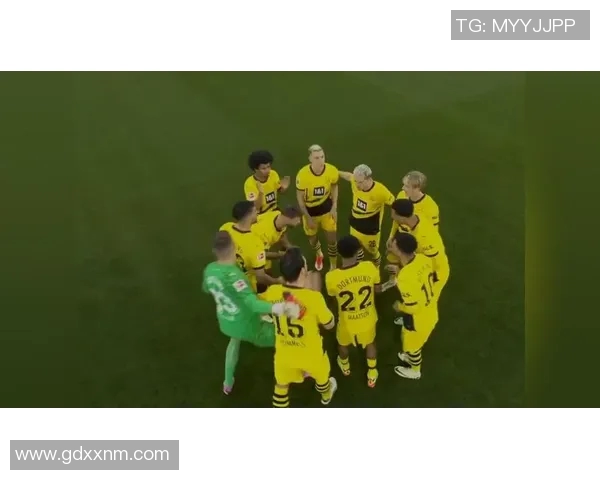 2011年德甲经典对决拜仁慕尼黑与多特蒙德的巅峰之战回顾