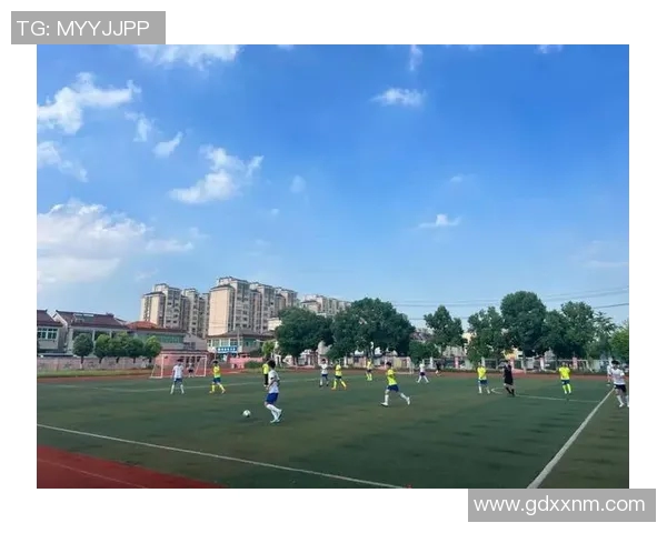 宝应足球明星盘点他们的成就与影响力分析